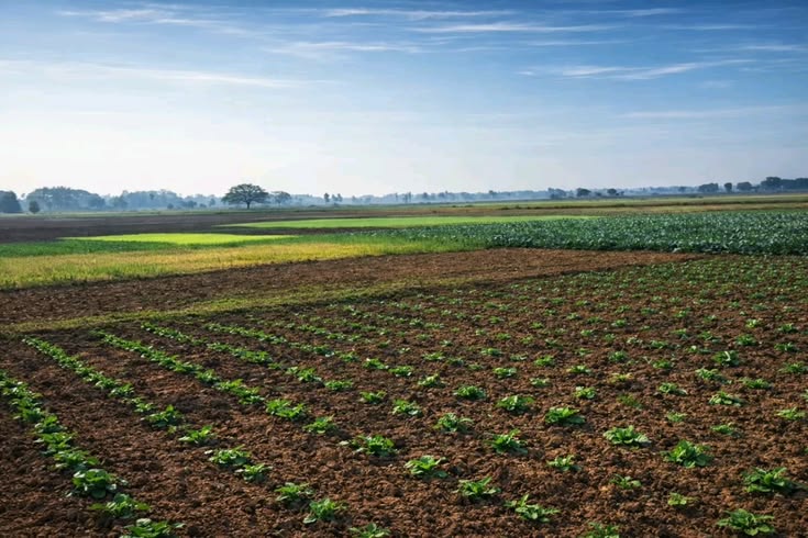 Yatırımlık Sanayi İmarlı Arsa